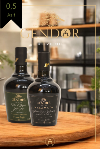 Gendor Deneme Seti 2*500ml