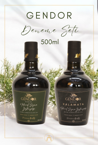 Gendor Deneme Seti 2*500ml