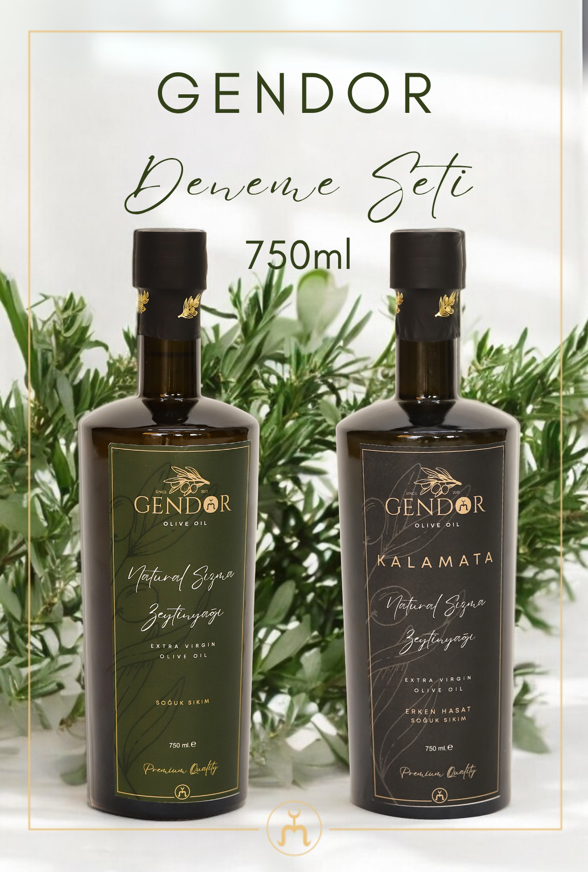 Gendor Deneme Seti 2*750ml