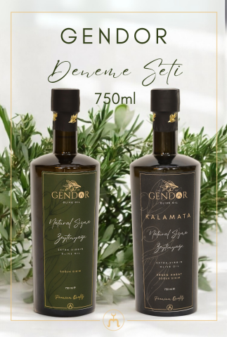 Gendor Deneme Seti 2*750ml