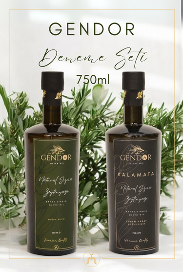 Gendor Deneme Seti 2*750ml